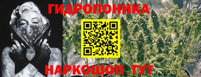 ALPHA PVP Коммунар