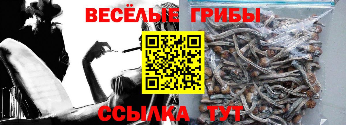 Владикавказ  Галлюциногенные грибы ЛСД  Вход с VPN  Псилоцибиновые грибы Psilocybe 