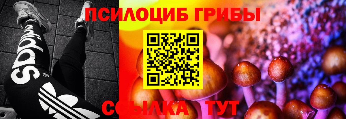 Галлюциногенные грибы GOLDEN TEACHER Владикавказ